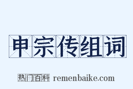 申宗传组词是什么意思的图片